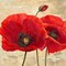 Red Poppies Poster Print by Cynthia Ann - Item # VARPDX1AN3420